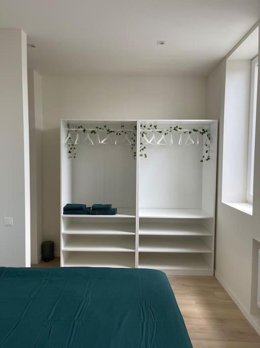 Apartamento Schitterend Sint - Jacobs Loft In Antwerpen Exterior foto